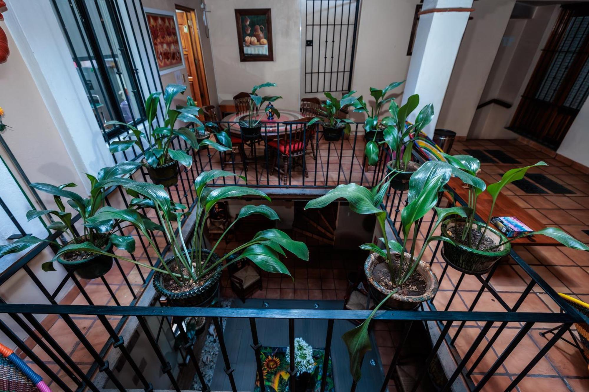 Hotel Rosa Mexicano Oaxaca Exterior photo
